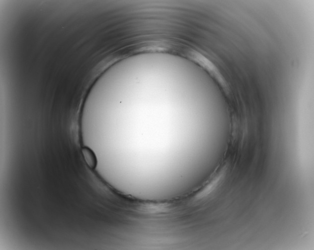 X0000088050802200706011341