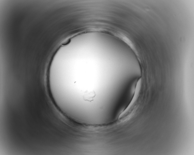 X0000088050803200706011341