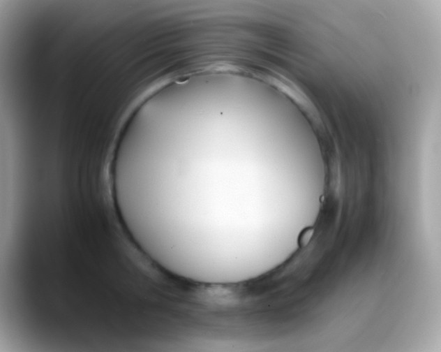 X0000088050806200706011341