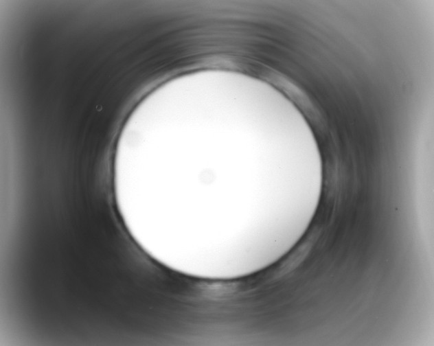 X0000088050808200706011341