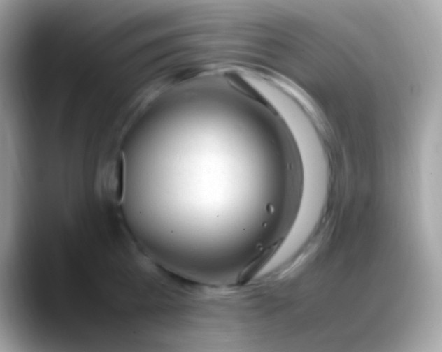 X0000088050809200706011341