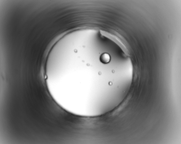X0000088050812200706011341