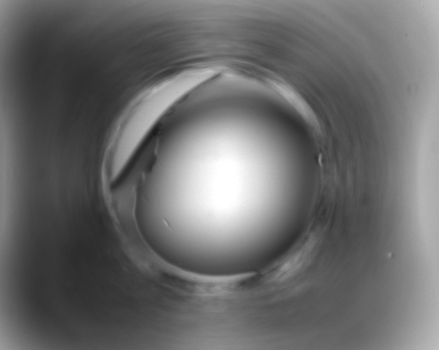 X0000088050813200706011341