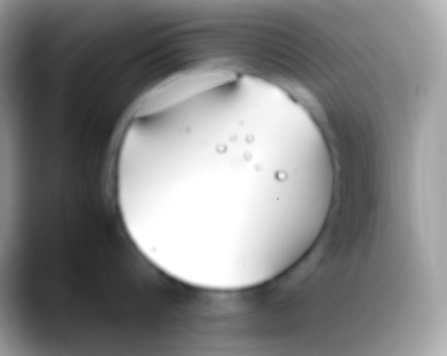 X0000088050816200706011341