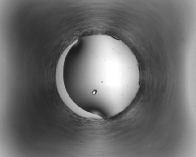 X0000088050818200706011340
