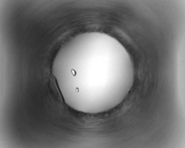 X0000088050821200706011340