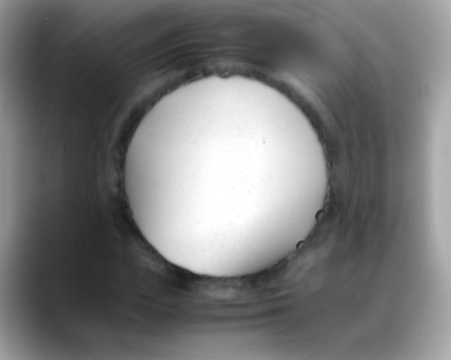 X0000088050823200706011340