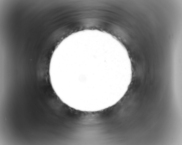 X0000088050824200706011340