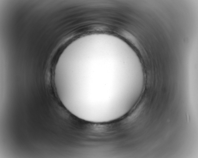 X0000088050827200706011340