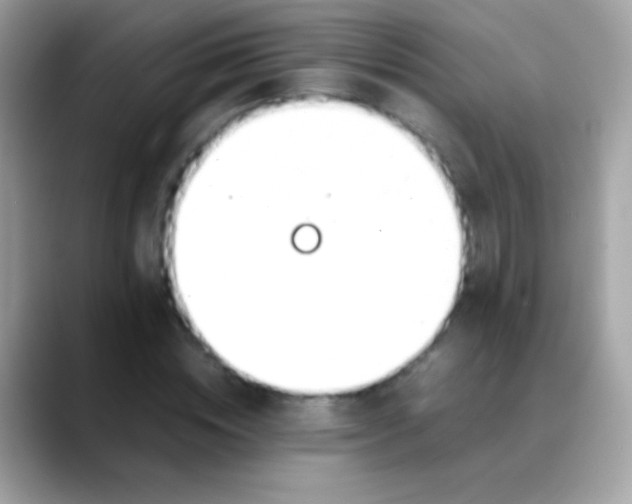 X0000088050828200706011340