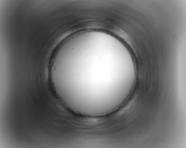 X0000088050829200706011340