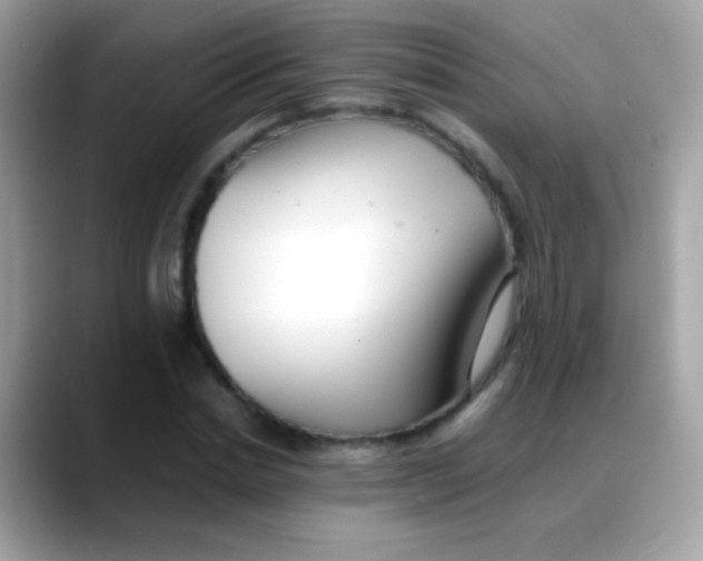 X0000088050830200706011340