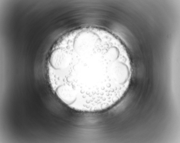 X0000088050832200706011340
