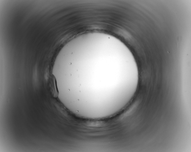 X0000088050833200706011340