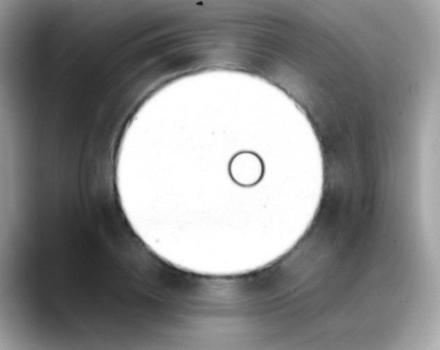 X0000088050836200706011340