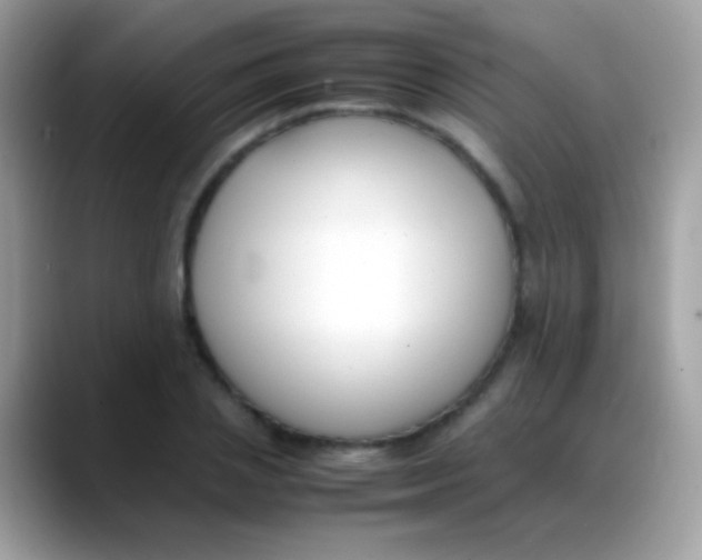 X0000088050837200706011341