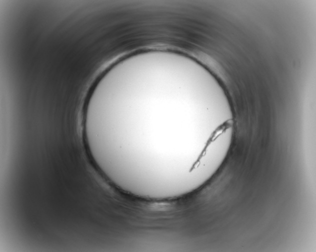 X0000088050839200706011341