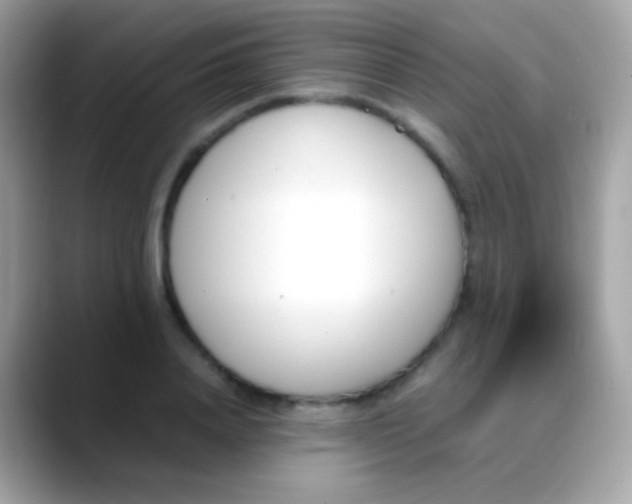 X0000088050840200706011341