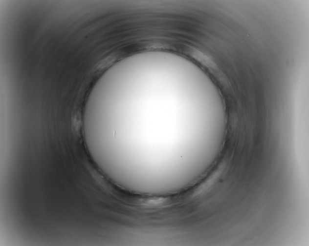 X0000088050841200706011341
