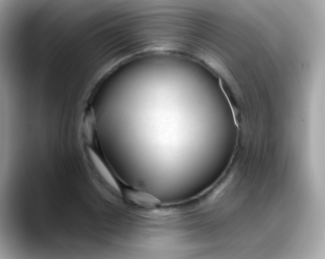 X0000088050842200706011341