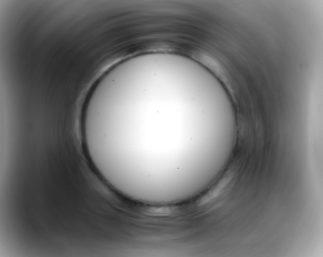 X0000088050843200706011341