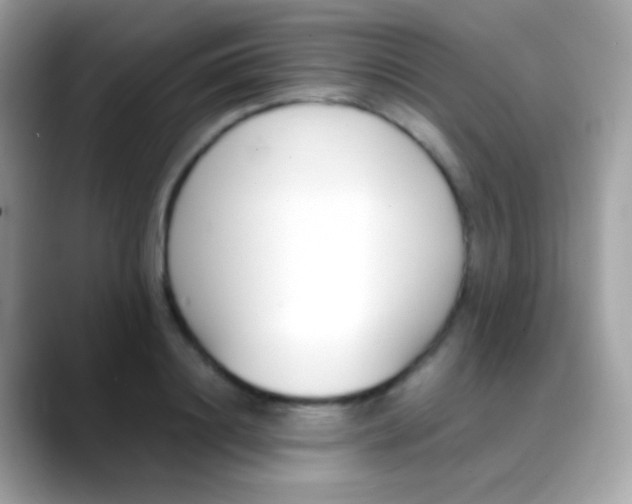 X0000088050844200706011341