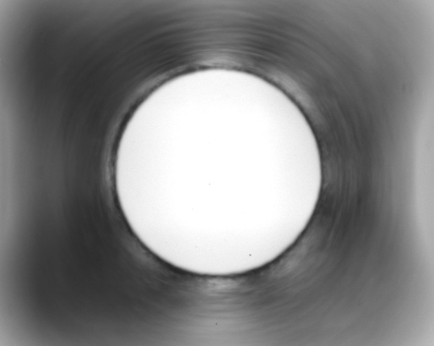 X0000088050848200706011341