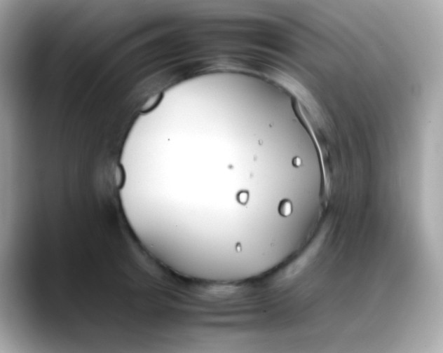 X0000088050849200706011341