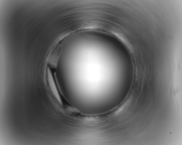 X0000088050850200706011341