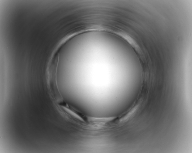 X0000088050854200706011341