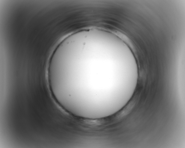 X0000088050855200706011341