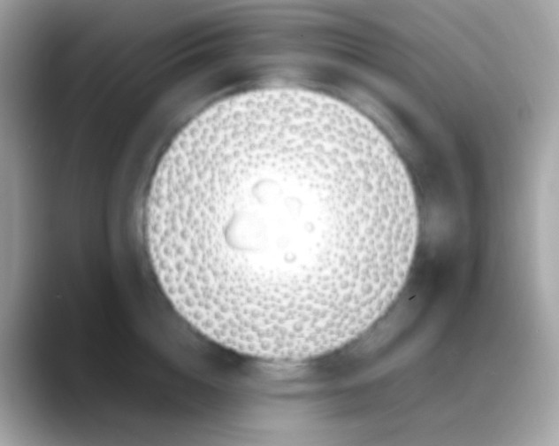 X0000088050856200706011341