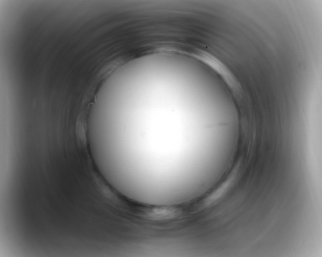 X0000088050857200706011341