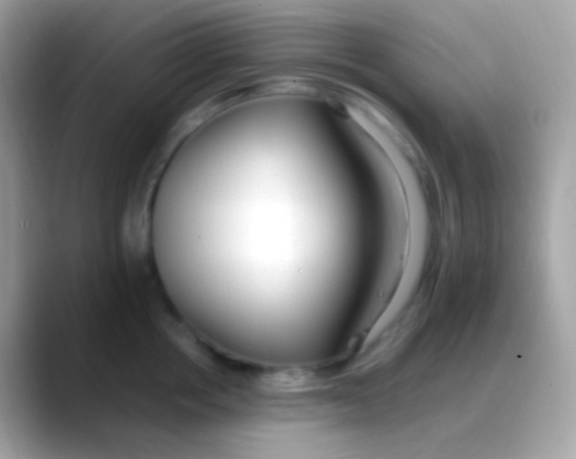 X0000088050858200706011341