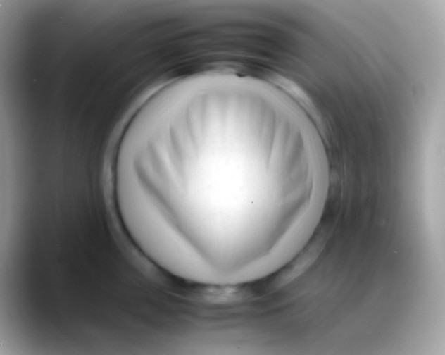 X0000088050859200706011341
