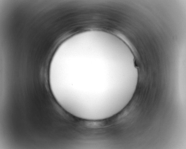 X0000088050861200706011341