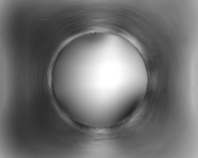 X0000088050862200706011341