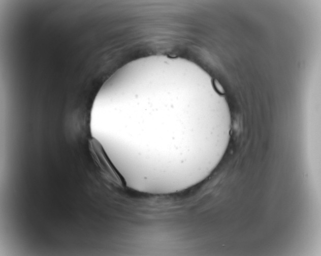X0000088050867200706011340