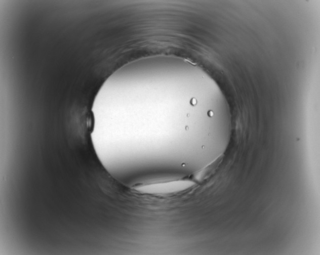 X0000088050868200706011340