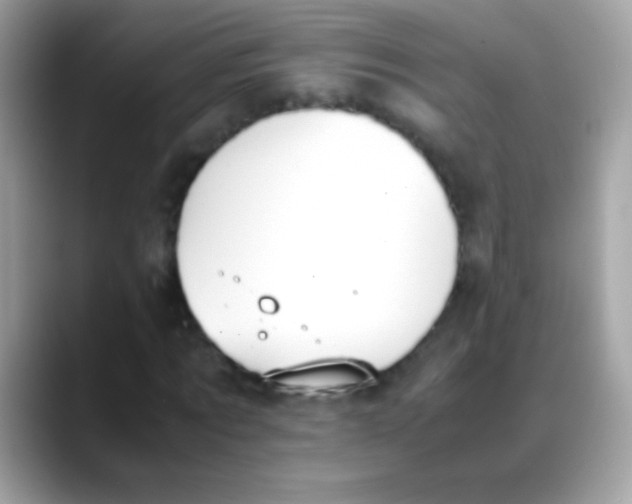 X0000088050869200706011340
