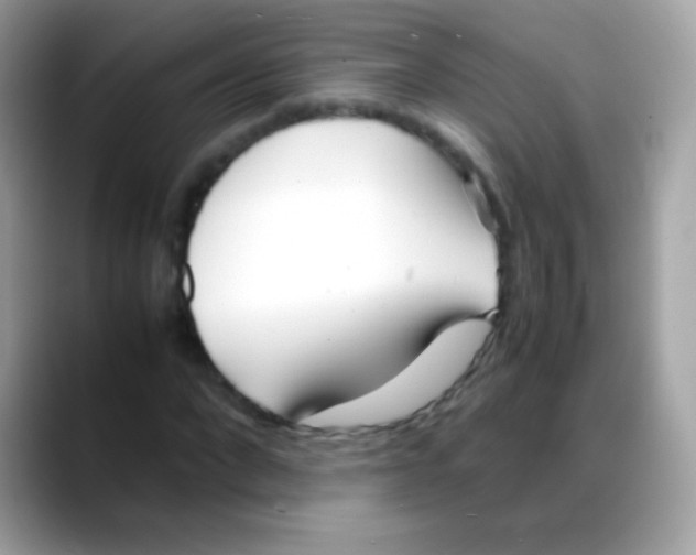X0000088050872200706011340