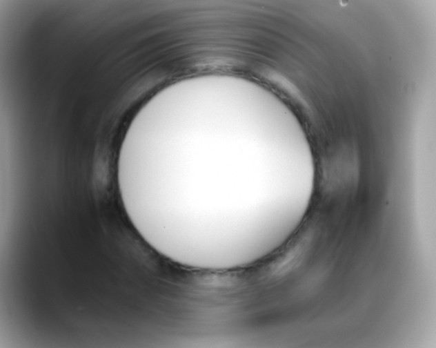 X0000088050874200706011340