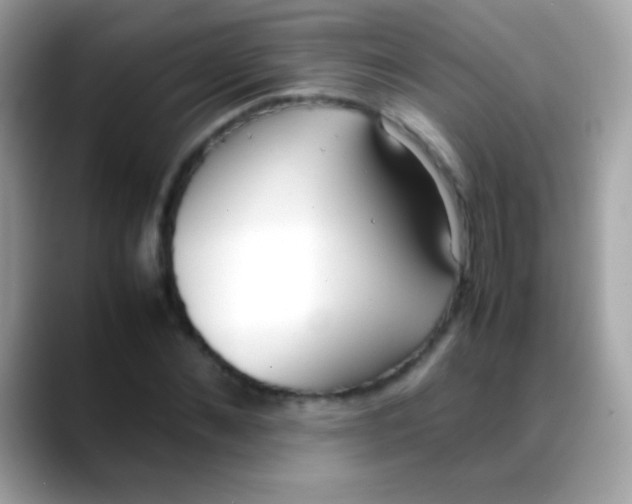 X0000088050876200706011340
