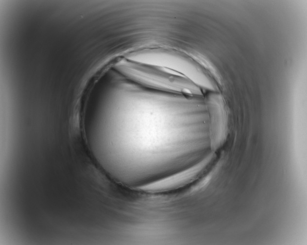 X0000088050877200706011340