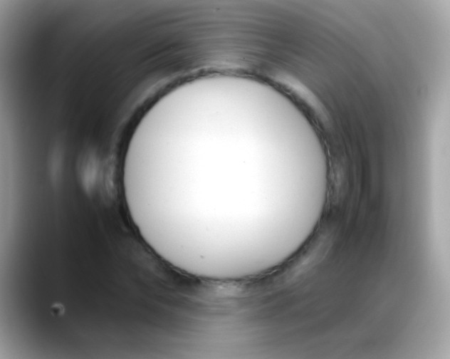 X0000088050878200706011340