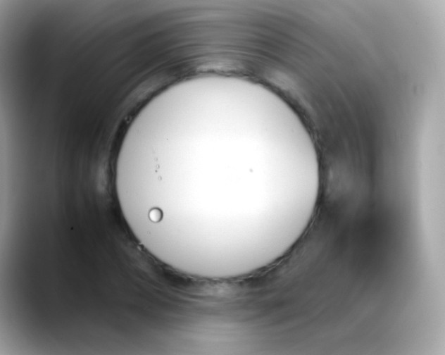 X0000088050882200706011340