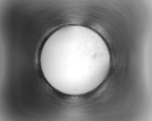 X0000088050883200706011340