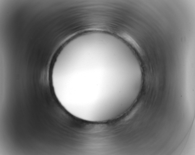 X0000088050884200706011340