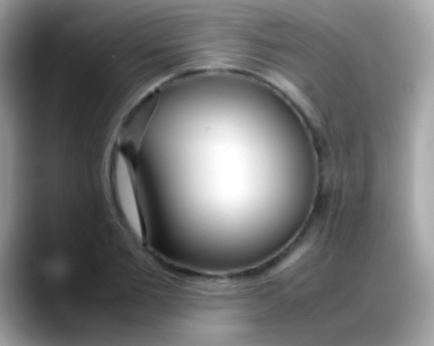 X0000088050885200706011340