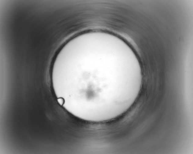 X0000088050887200706011340